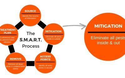 The S.M.A.R.T. Process Step 2 – Eliminate all Pests