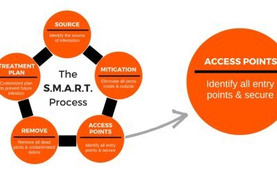 The S.M.A.R.T. Process Step 3 – Identify and Secure All Pest Entry Points