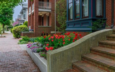 How Older Homes in Portland Attract Rodents — And How to Protect Them